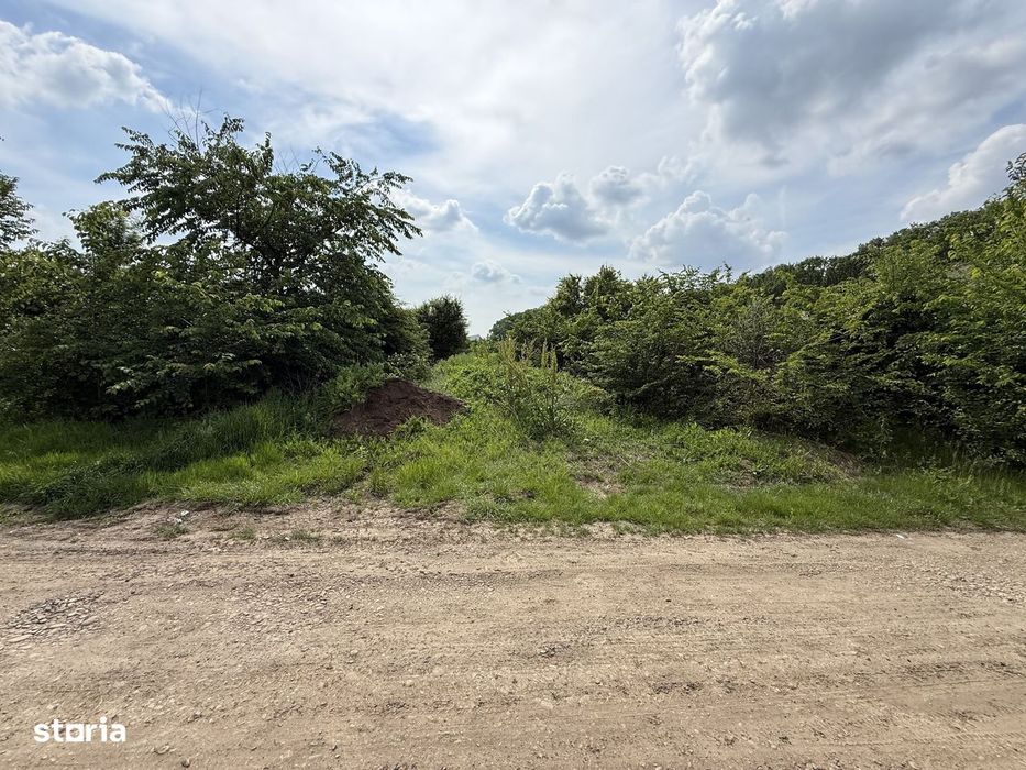 Teren intravilan 498,02 mp langa pădure , strada privata Corbeanca