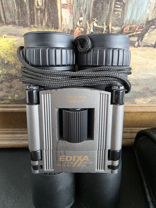 Binoclu 10x25...