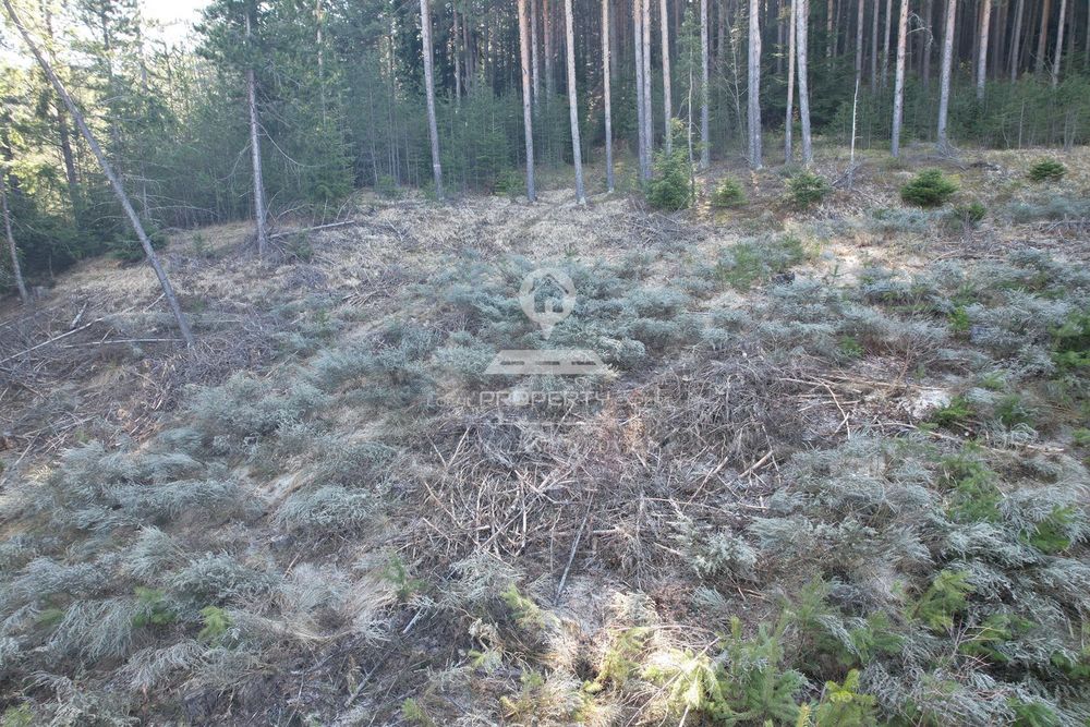 Парцел в Благоевград, област-гр.Банско площ 6982 цена 310000