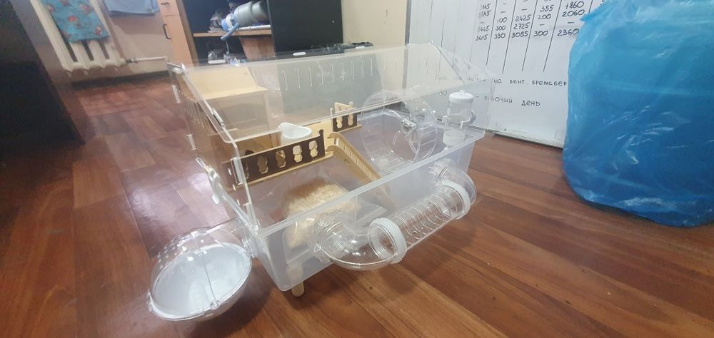 Клетка для Джунгариков