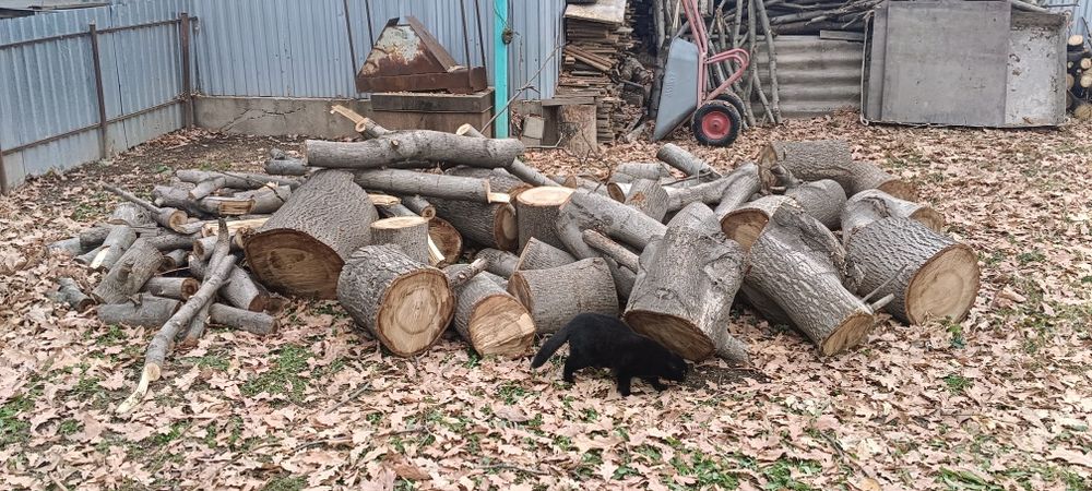 Продам дрова пинки ореха