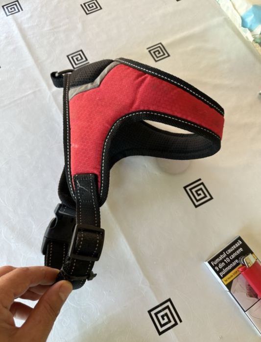 Ham catel 2 luni - 6 luni