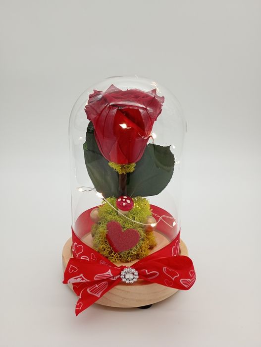 Trandafiri criogenati in cupola de sticla cu leduri cadoul perfect