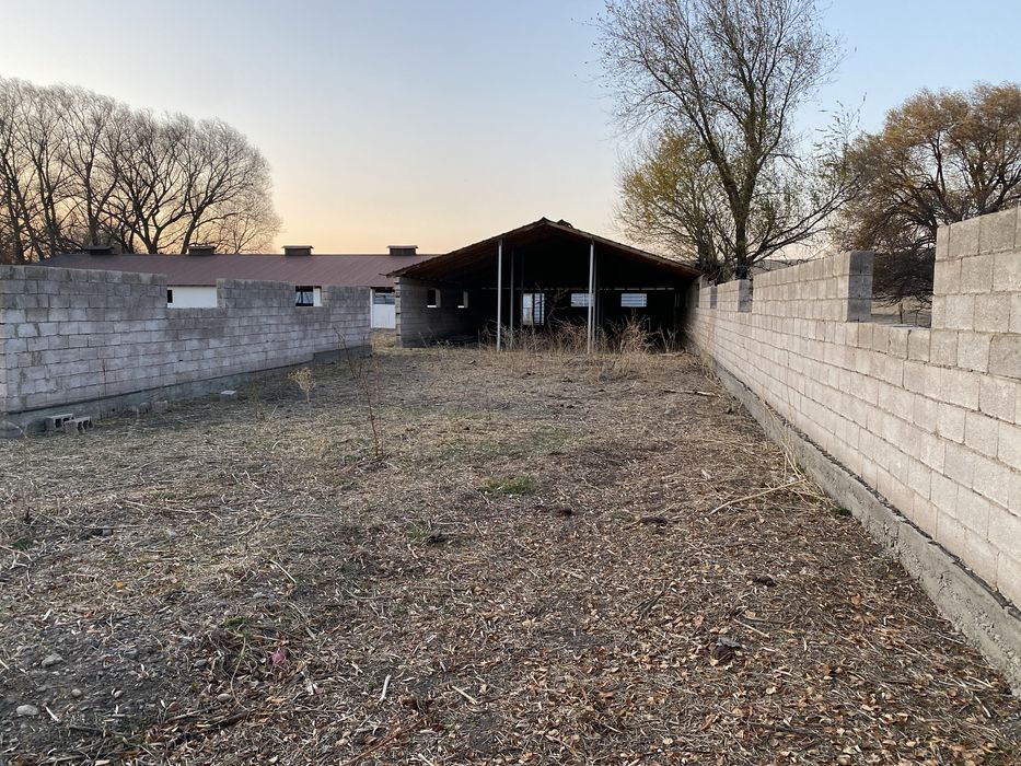 Продаю новый сарай в селе Алга