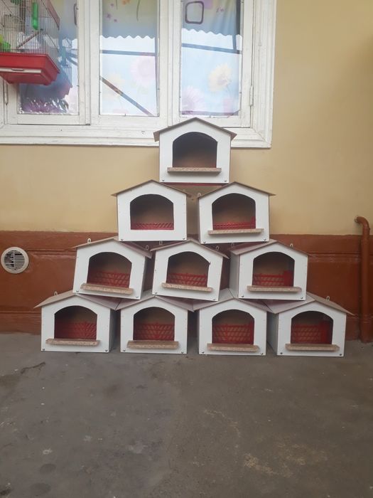 Kaptarlar va yapon touqlar uchun gnizdolar zakazga qilib beraman5