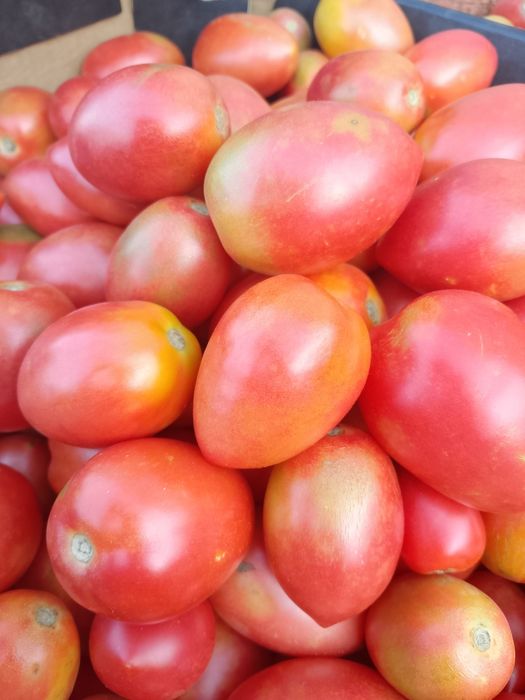 Продам домашние помидоры