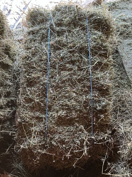 Vand baloti de lucerna.