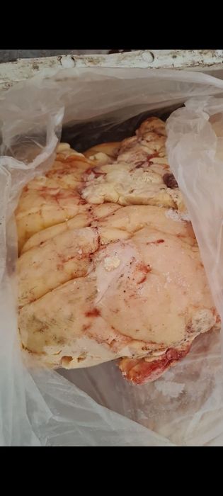 Конский рёберный жир