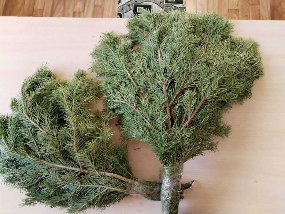 Пихтовые веники для бани и пихтовое масло