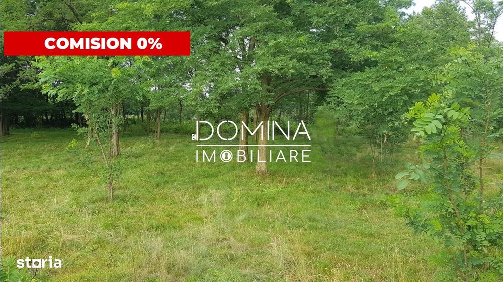Teren intravilan, 6843 mp, pretabil investitie turistica, Polovragi