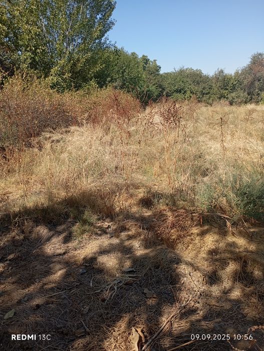 Продается участок 12 соток с домом 4 комнат.