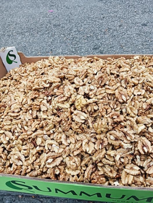 Vand miez de nuca calitate superioara