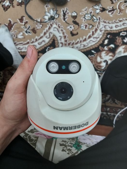 Ip камеры внутренние