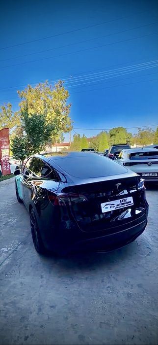Tesla Model Y Performance