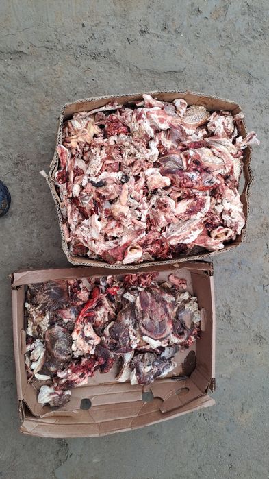 150 тенге  кг. Ит тағамы ет.,Сабачи корм.