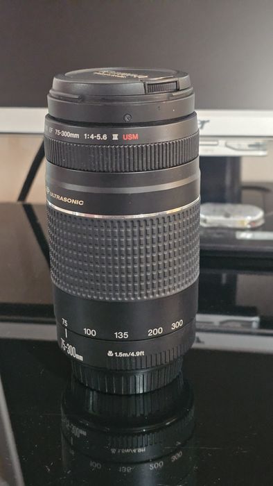 Obiectiv canon 75-300 mm