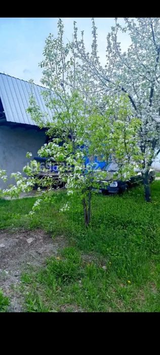 Мұхаммеджан Түимебаев үи сатылады