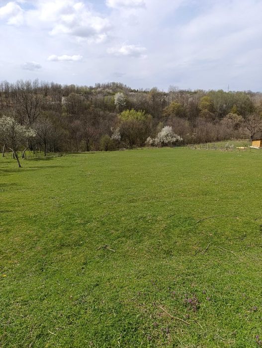 Teren de închiriat în  localitatea Tapia