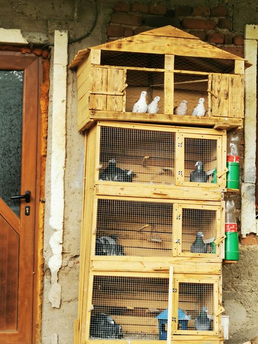 Къща за птици    .