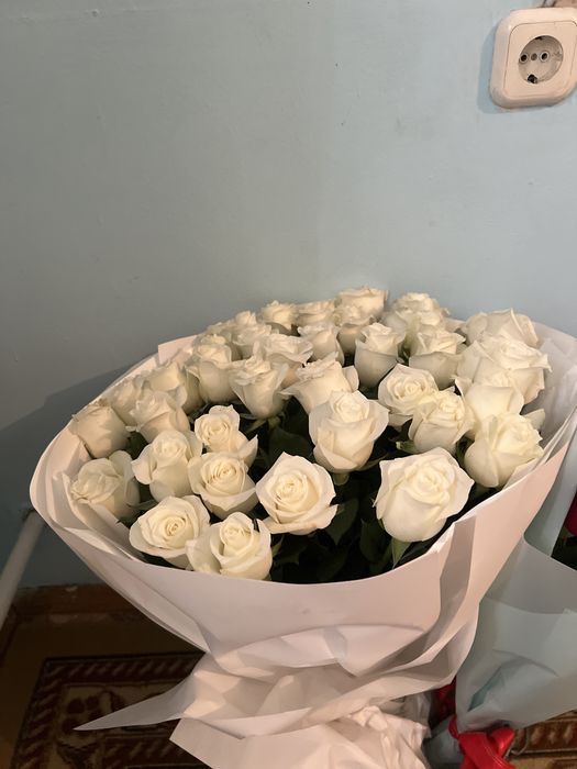 белые розы,41 штук