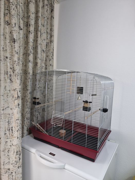 Colivie pasari  neutilizata