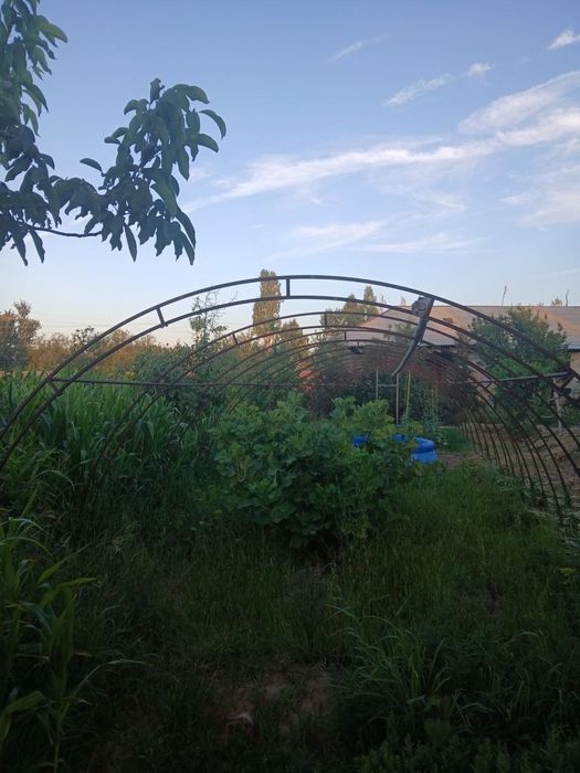Parnik sotiladi 20×5 metr