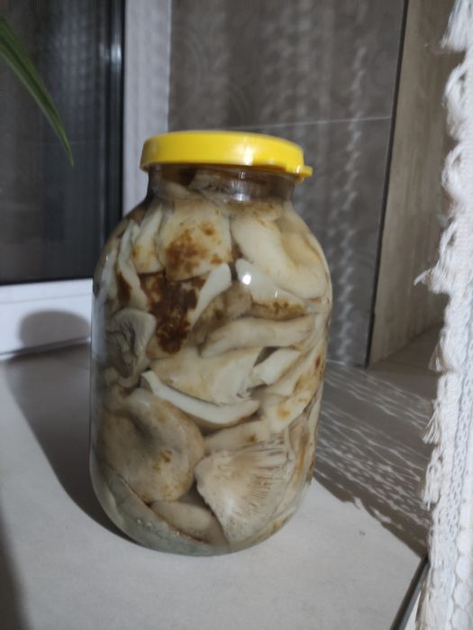 Грибы-грузди маринованные