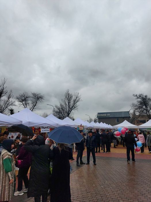 Прокат   Полатки