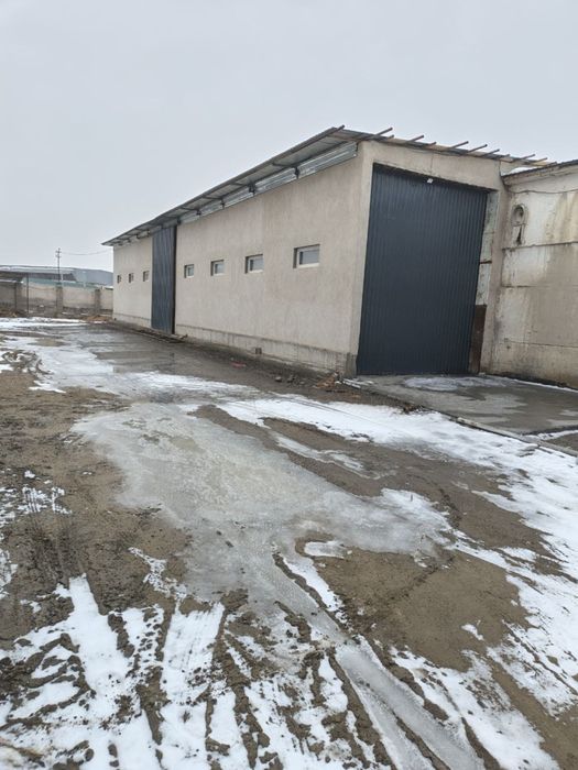 Склад (Бухара, Когон)