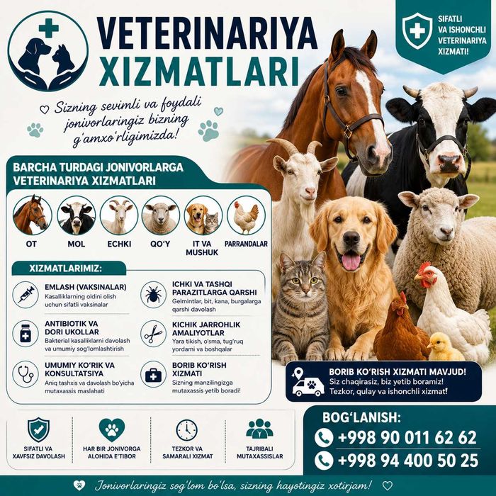 Ветеринарные услуги - "Vet house"
