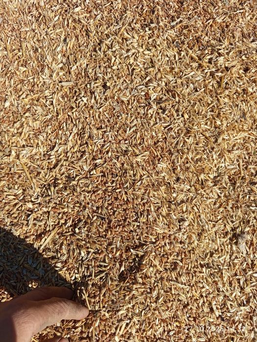 Зерно отходы мешках