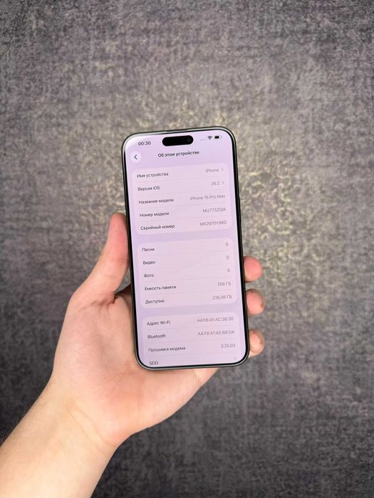 Phone 15 Pro Max 256GB