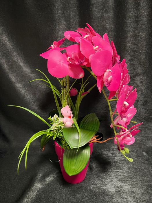 Aranjament de orhidee premium