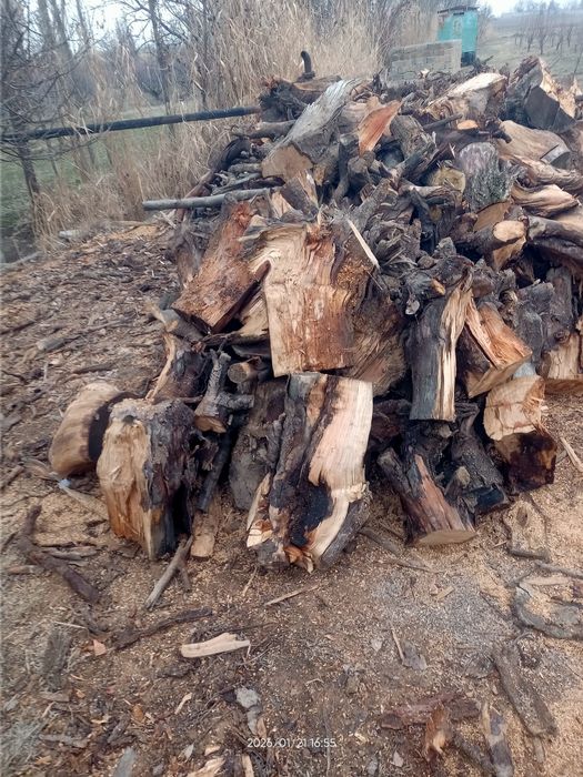 Quruq oʻtin sotiladi