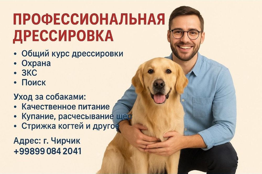 Дрессировка собак и груминг