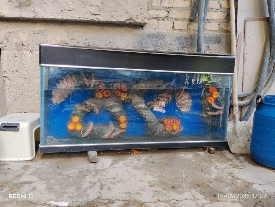 Аквариум сотилади