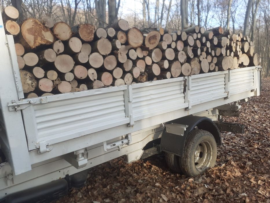 Lemne de foc la 350 lei metru eseță tare cu transport gratuit