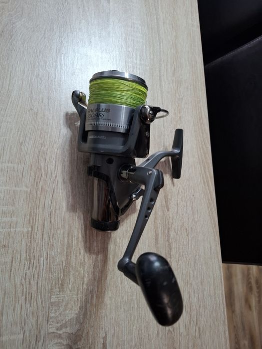 Mulineta  Daiwa crap