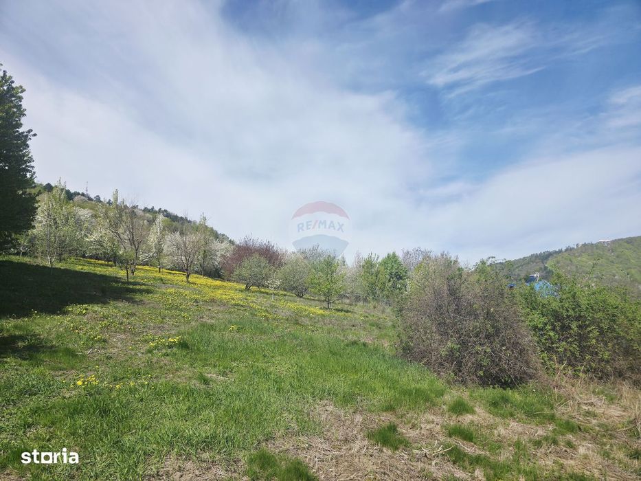 Teren 1,000mp Piatra-Neamt / Zona Fermelor