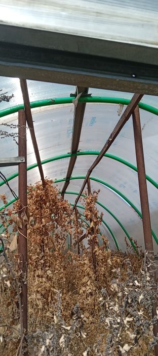 Продам теплицу большую