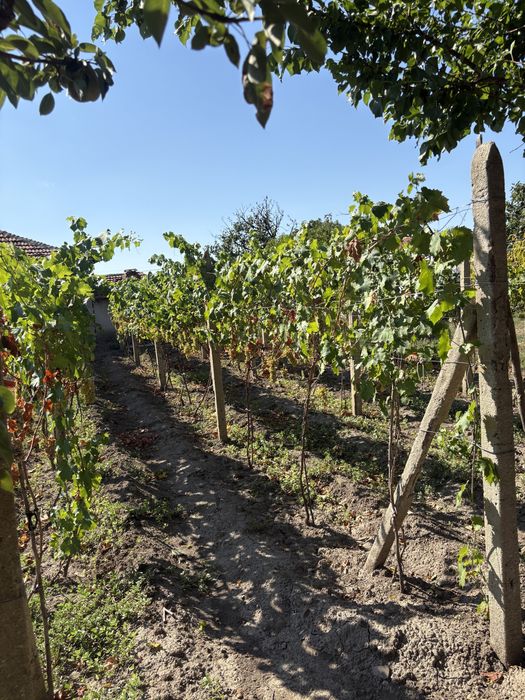 Продава се Къща в с. Съдиево, Област Бургас - 100 кв.м за 434 €/кв.м - Снимка #7