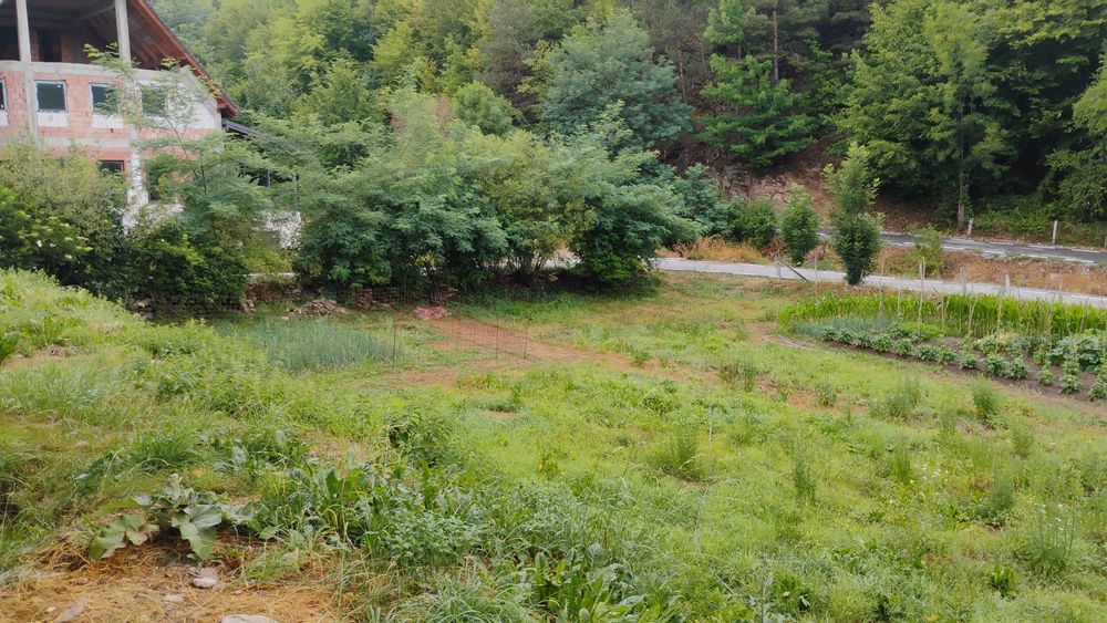 Casa de caramida la rosu, 3765mp teren intravilan, Valea Ariesului, AB