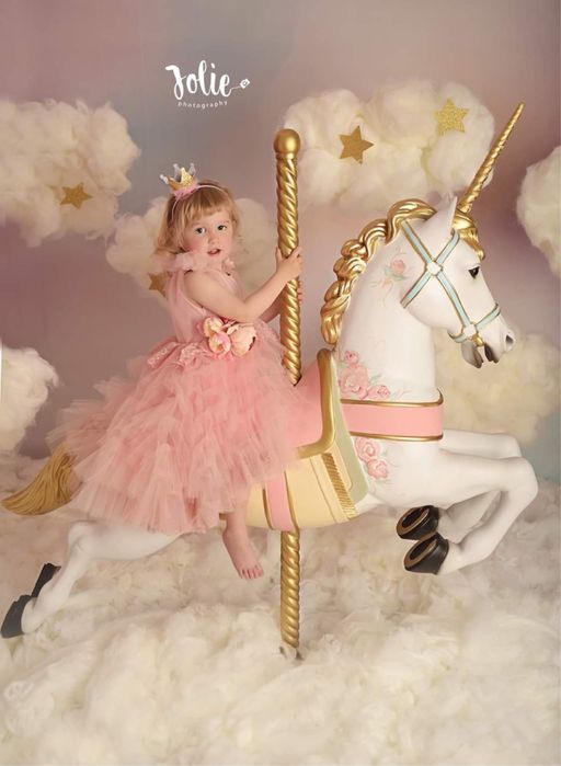 Unicorn Carusel roz/bleu pentru sedinte foto