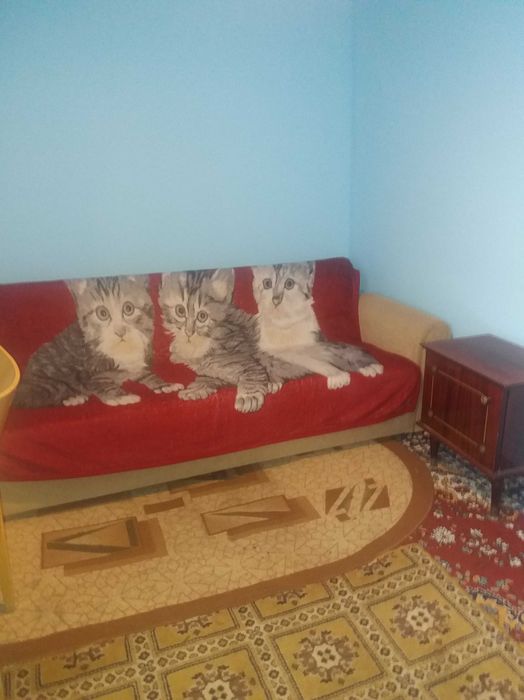 Camera de inchiriat. Nu pretind garantie. 0743572690