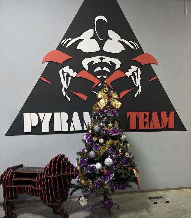 Абонемент тренажерный Pyramid Arystan Fit
