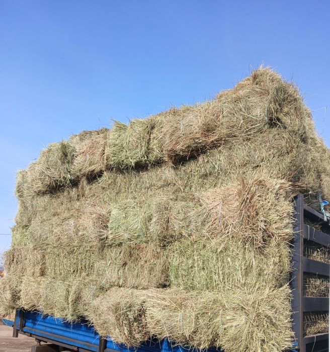 Baloții de fân si otavă ROTUNZI SAU PĂTRAT