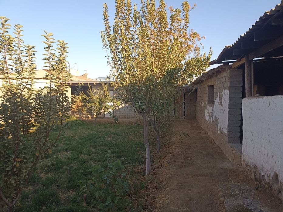 Hamma sharoitlari bir oladigan odam bogʻlansin