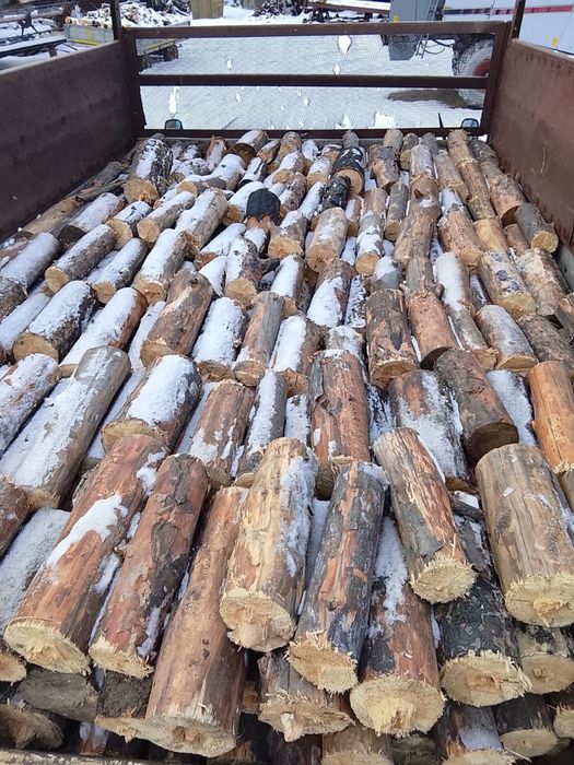 Продам дрова в чурках