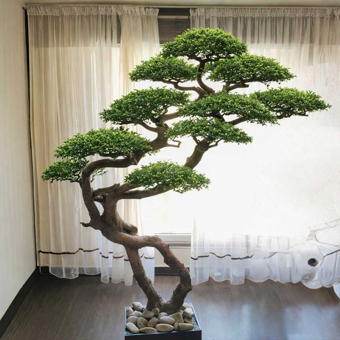 Bonsai si Măslin Artificiali Decorativi