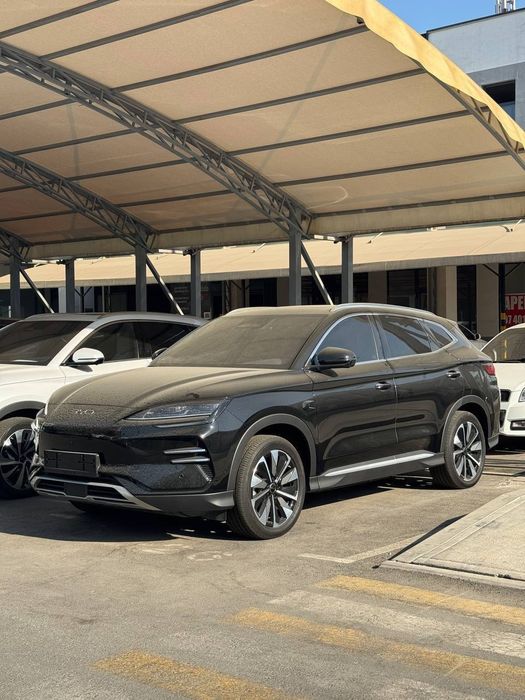 Byd champion smart